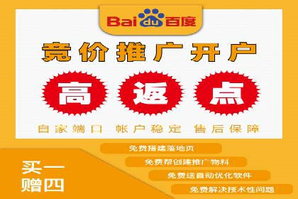 百度竞价广告的成功之路：企业运营案例集