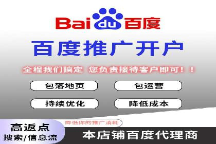 百度竞价排名案例分析：提升网站流量与转化率